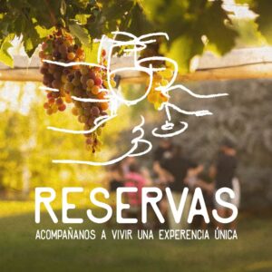 Braseando Experience